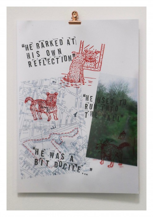 Image by Holly Anne Wilkinson