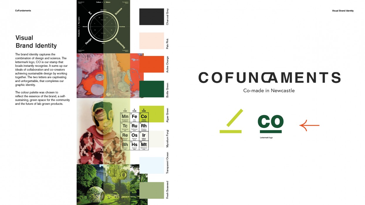 Image of Abbie O’Connor's graduate project CoFundaments