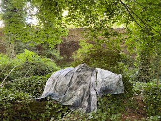Image of artwork by Jamie Fenny
