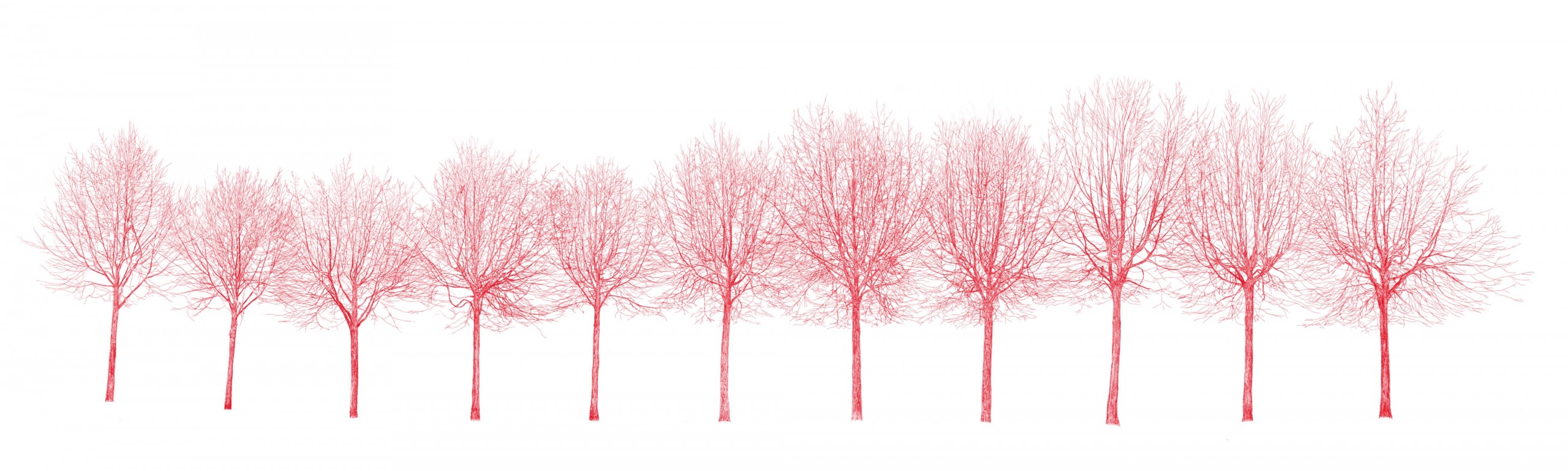 The Civic Trees