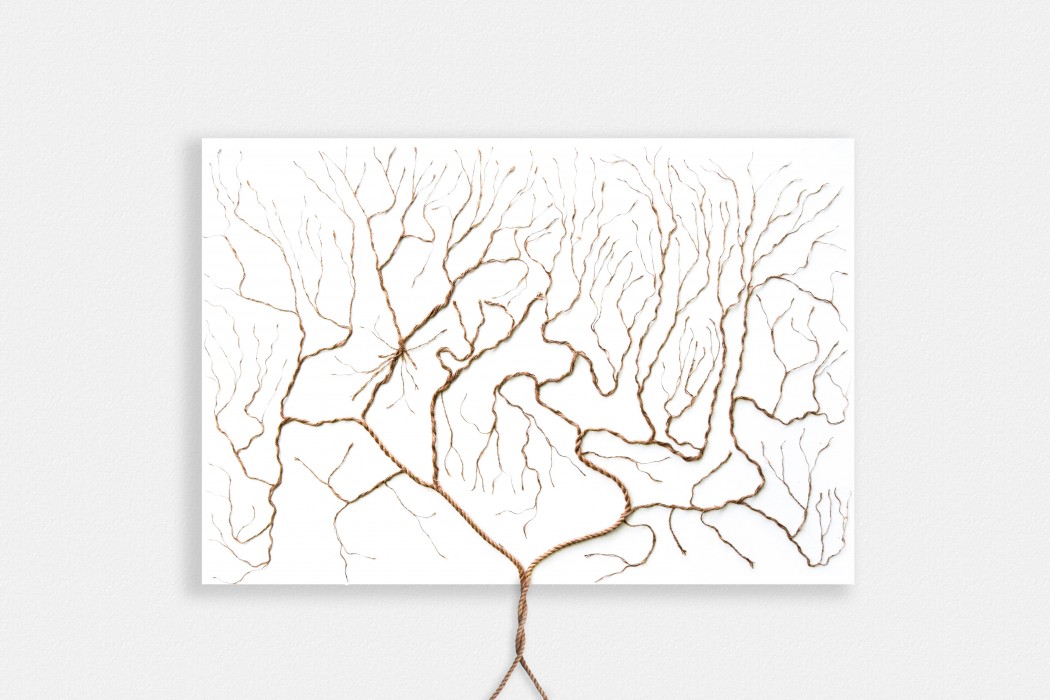 Charlotte Baker - My Family Tree