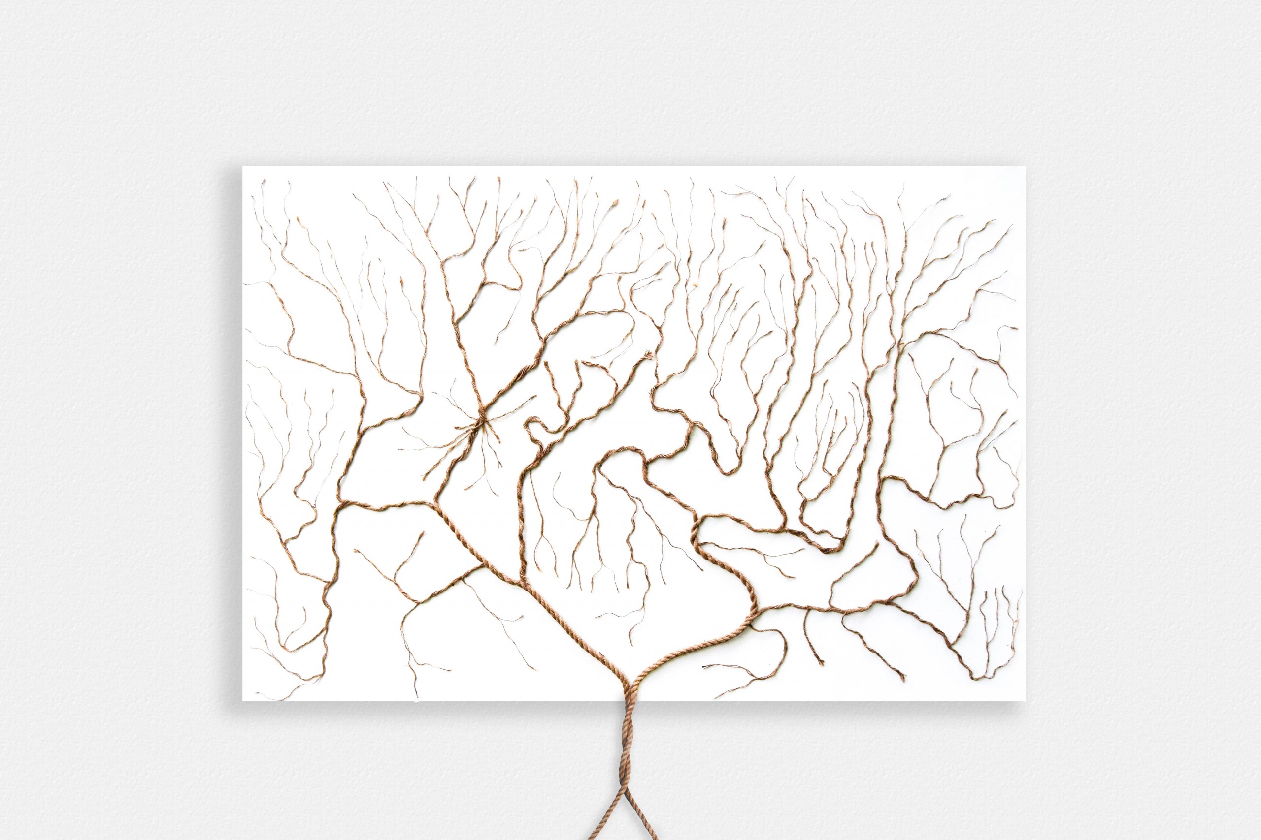 SW_My Family Tree &#8211; Charlotte Baker &#8211; CHARLOTTE BAKER