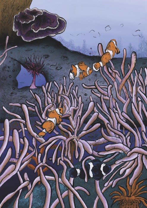 Image by Holly Anne Wilkinson