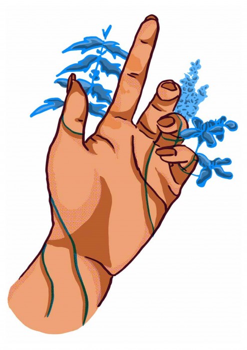 Biophilia by Maya Dixon