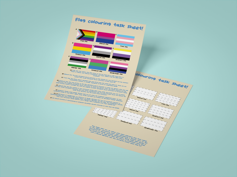Flag Task sheet