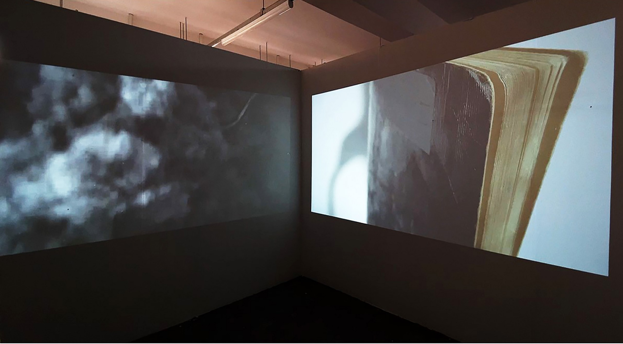Installation view