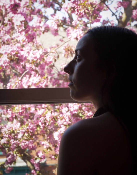 Feminine Energy - Window photo