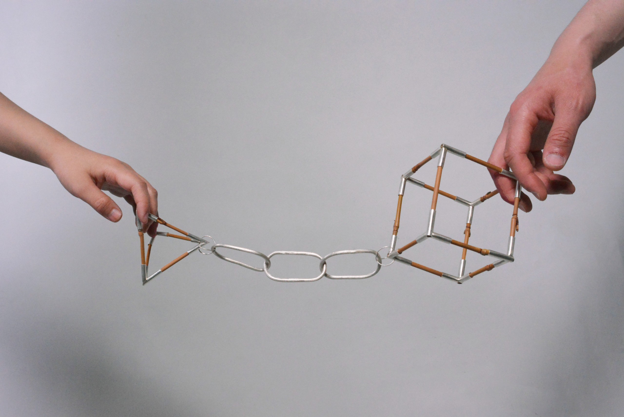 Haiyin_Wang_Visible Hormone_modelled