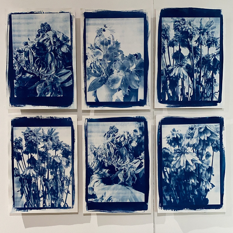 End of life, 2021, Cyanotype, A3 (x 6)