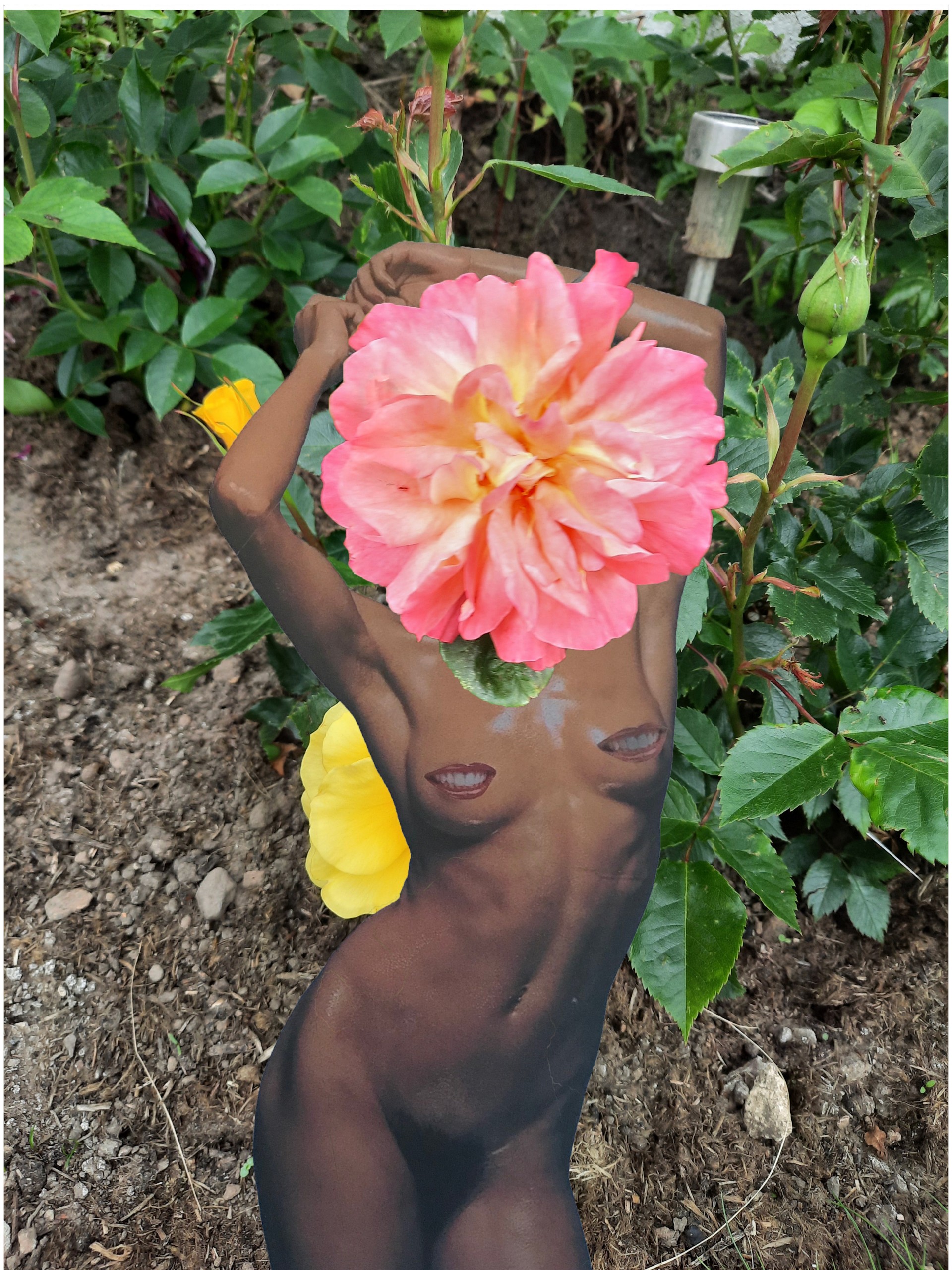Female floral hybrid, Digital Collage, 2022
