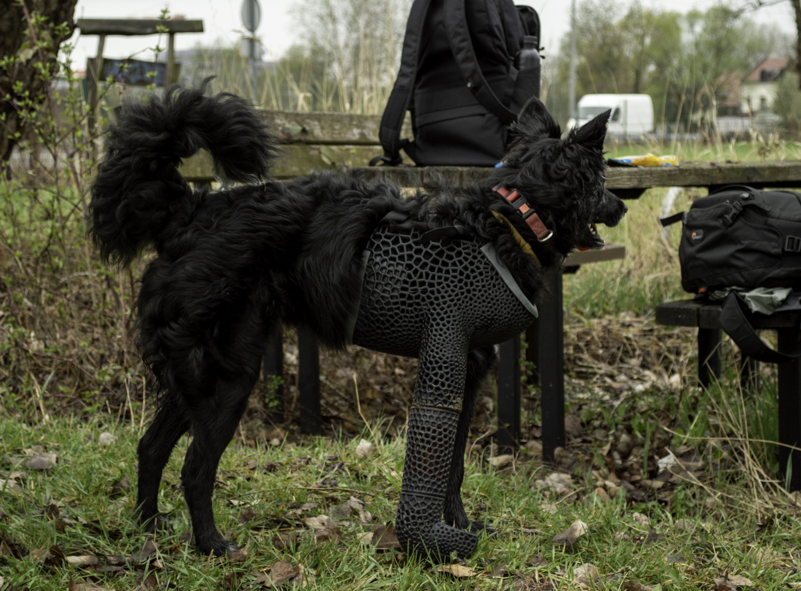 Leyla wearing the Prosthesis