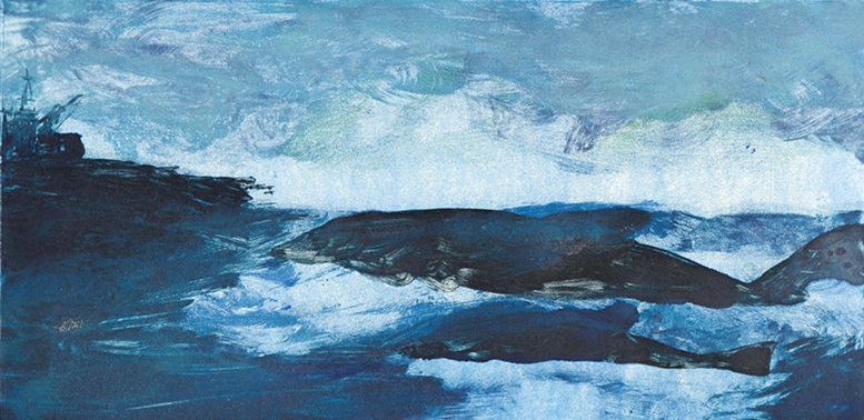 All the Daily Life of a Baby Whale