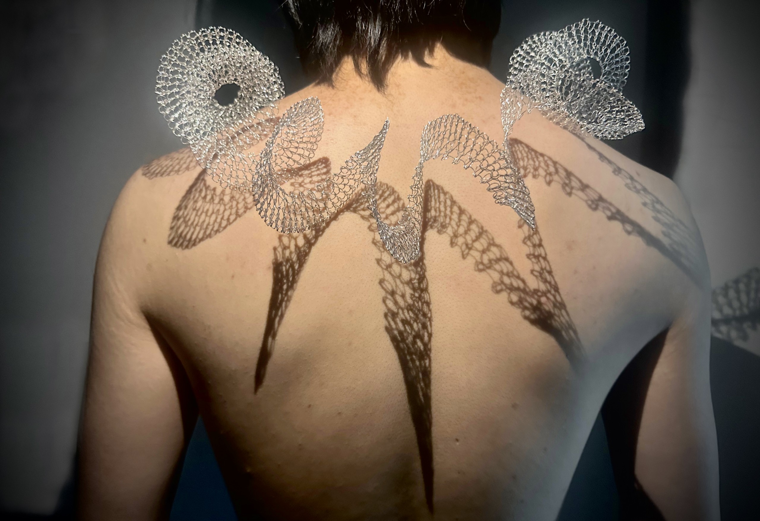 The Entwined Shadows, 2024. Silver-plated wire