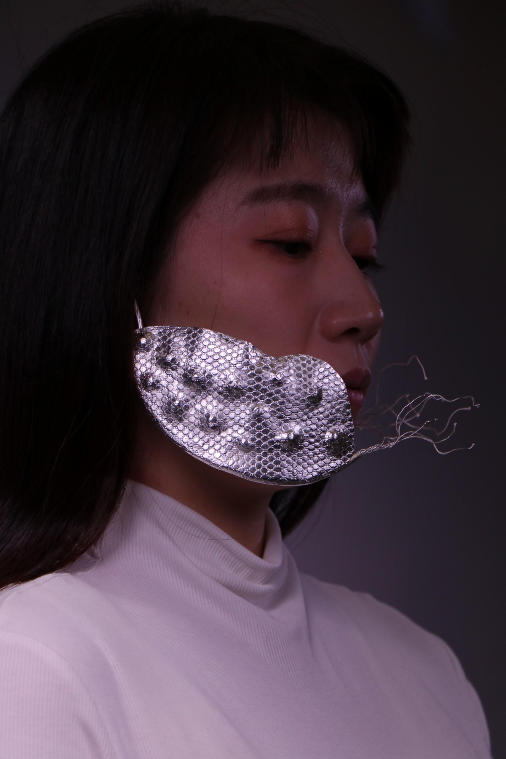 Image6_WANG SHIJI