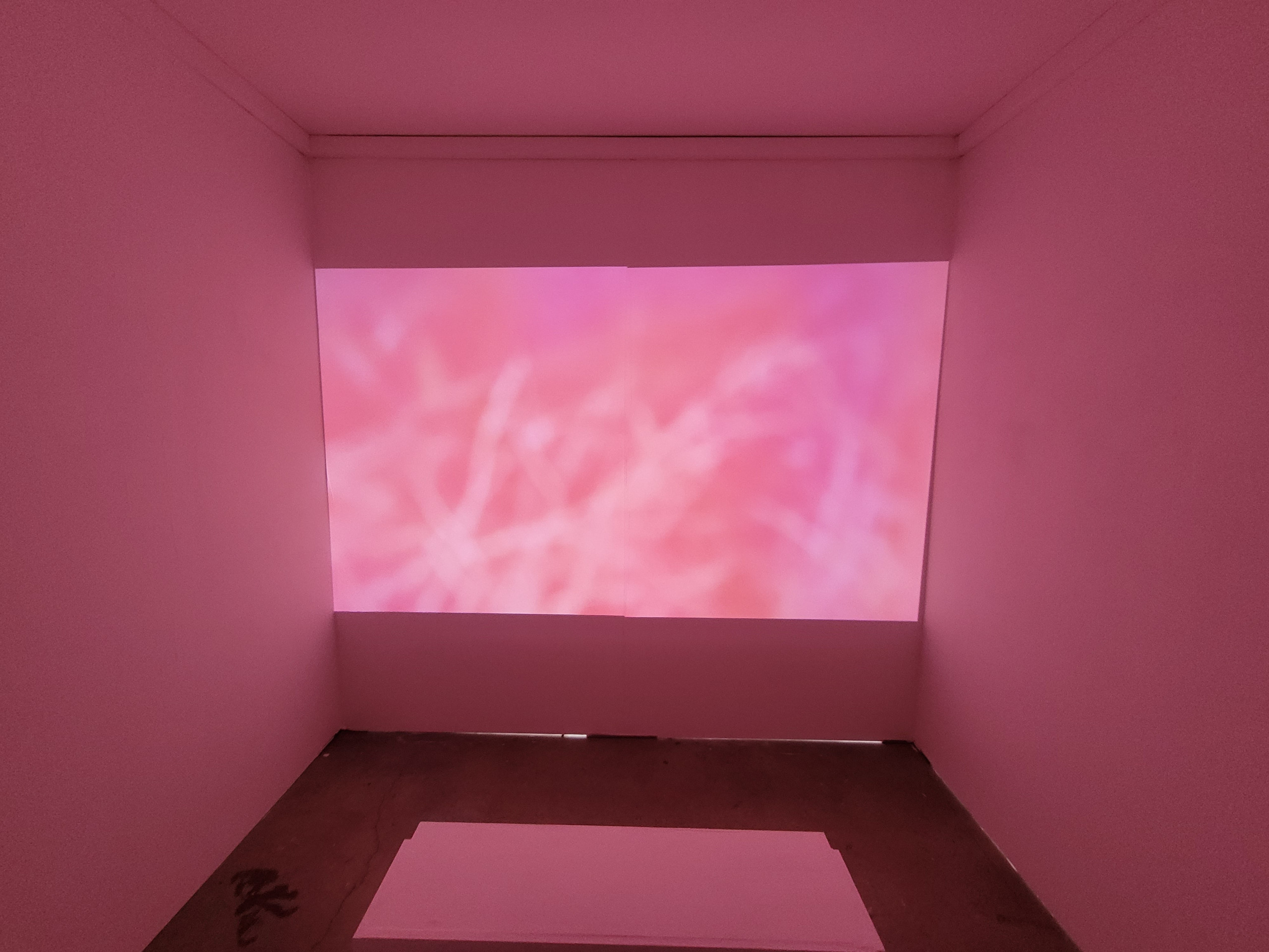 20240425_130720_EMILY COLES-min