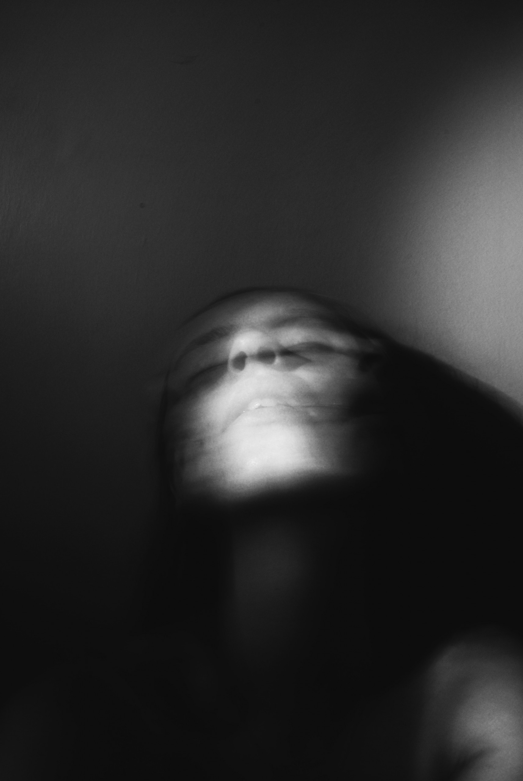 An Inquiry into the Mortal Chambers of Flesh in Drawing, Photography and Painting