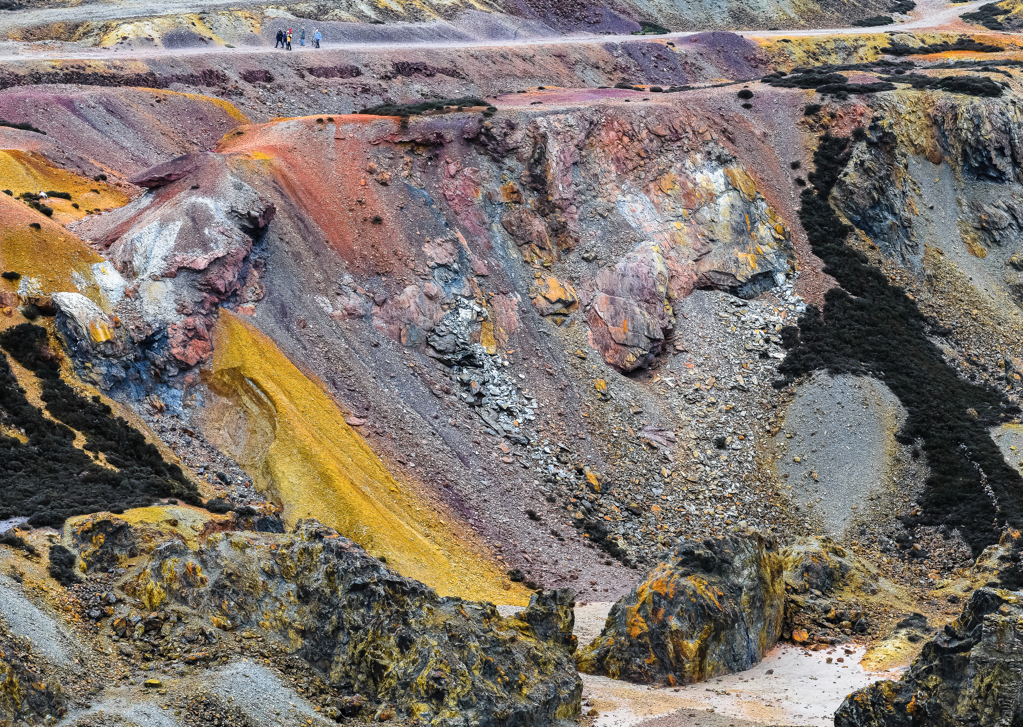 Margins of Extinction