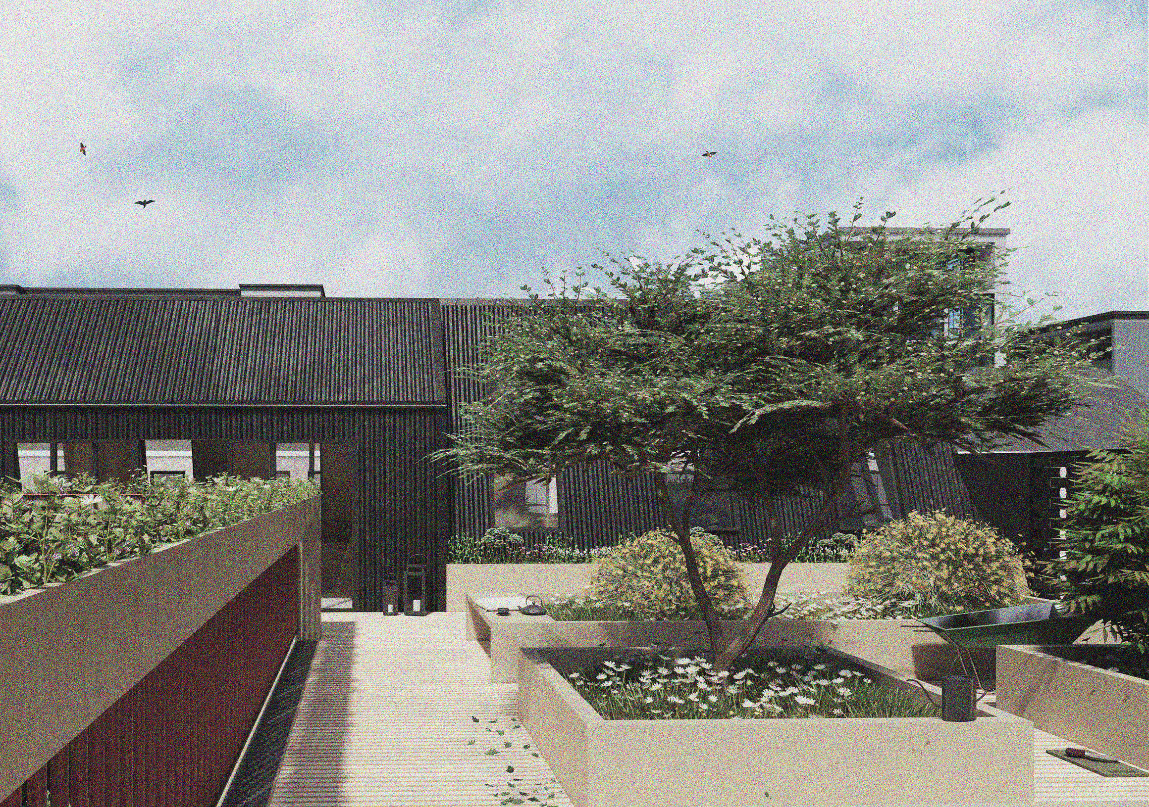Rooftop Garden, Visualisation